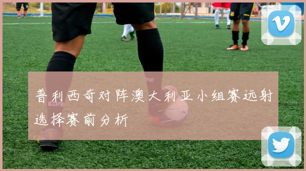 普利西奇对阵澳大利亚小组赛远射选择赛前分析