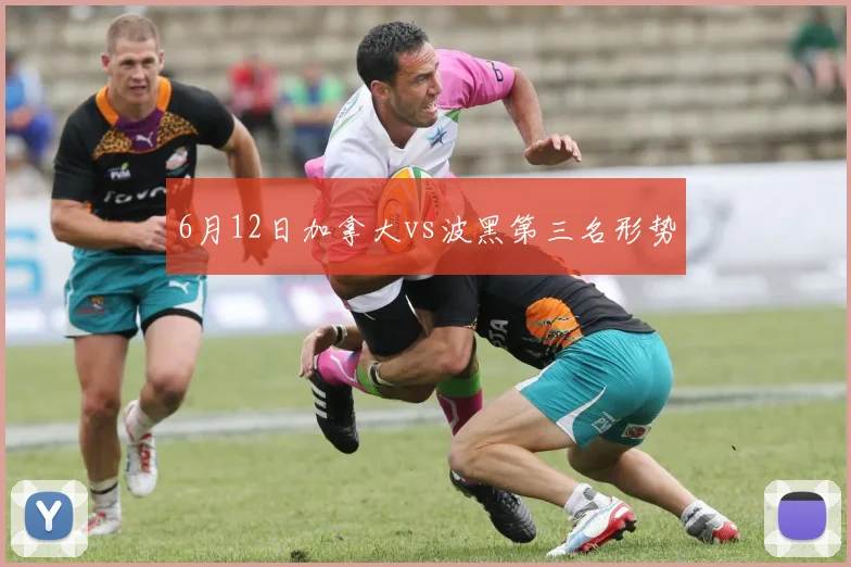 6月12日加拿大vs波黑第三名形势