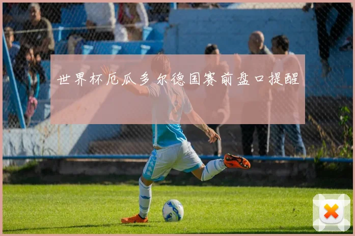 世界杯厄瓜多尔德国赛前盘口提醒
