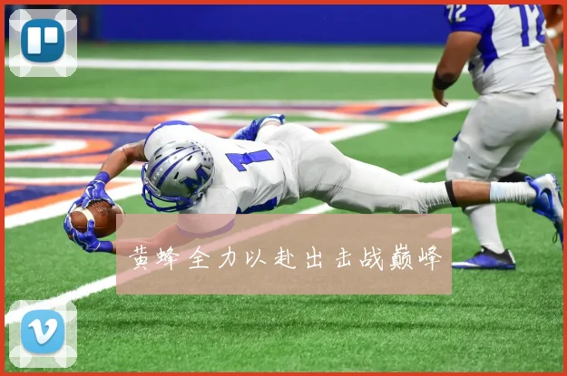 黄蜂全力以赴出击战巅峰