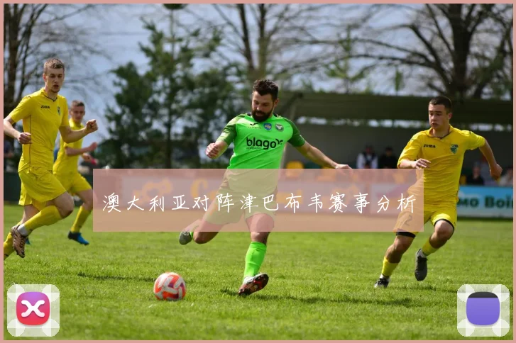 澳大利亚对阵津巴布韦赛事分析
