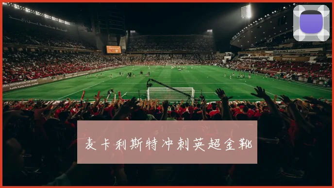 麦卡利斯特冲刺英超金靴