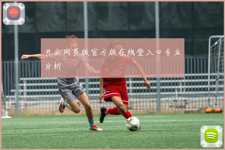 开云网页版官方版在线登入口专业分析