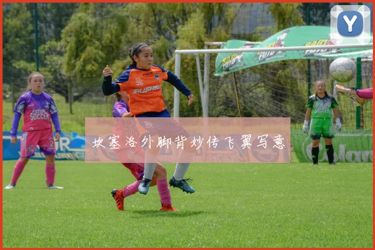 坎塞洛外脚背妙传飞翼写意