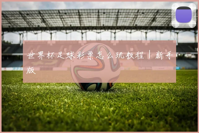 世界杯足球彩票怎么玩教程｜新手版