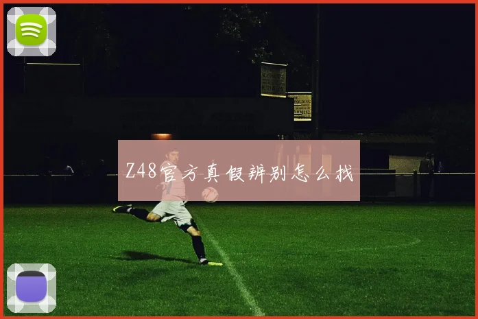 Z48官方真假辨别怎么找